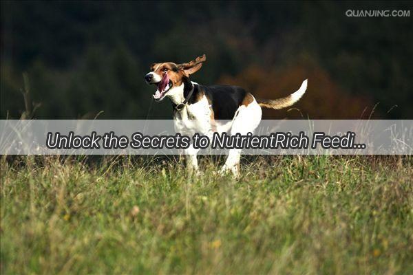 Unlock the Secrets to NutrientRich Feeding for Your Pup A TailWaggin Guide